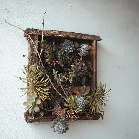A Casa Di Guest house Viterbo